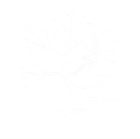 Baum-Kraxler