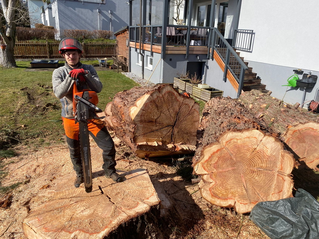 Baum-Kraxler